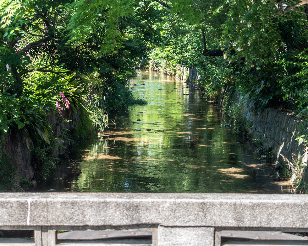 高瀬川_sp