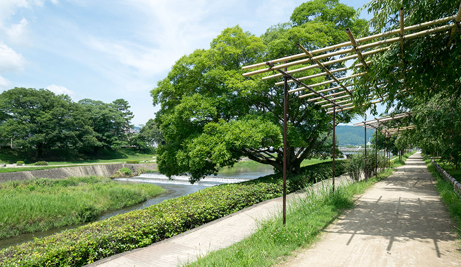 賀茂川西側・河川敷まで徒歩2分建築条件なしの売土地（京都市北区小山北玄以町）