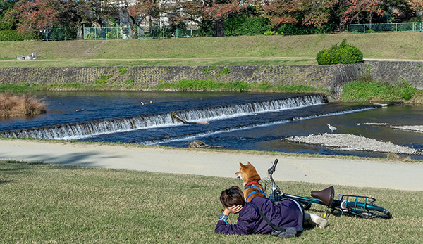 賀茂川西側・河川敷まで徒歩2分建築条件なしの売土地（京都市北区小山北玄以町）