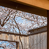 祇園白川沿い路地奥の隠れ家物件写真