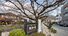 The Philosopher’s Path, which stretches roughly 1.5 kilometers, lies alongside the canal stretching from the Eikando to the west of Ginkaku-ji. The cherry blossom trees lining the route are beautiful year-round, drawing many visitors in the spring and fall in particular. The path derives its name from the fact that Kitaro Nishida, philosophy professor at Kyoto University, as well as his disciples, often took a meditative walk along this route. 
