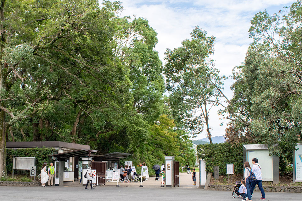 京都府立植物園