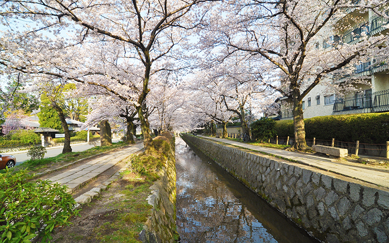 Vacation Rentals KyoTreat Ginkakuji