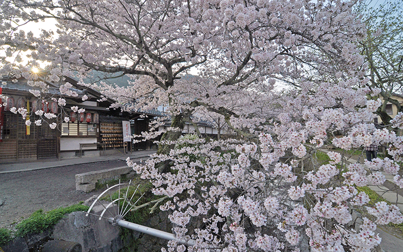 Vacation Rentals KyoTreat Ginkakuji