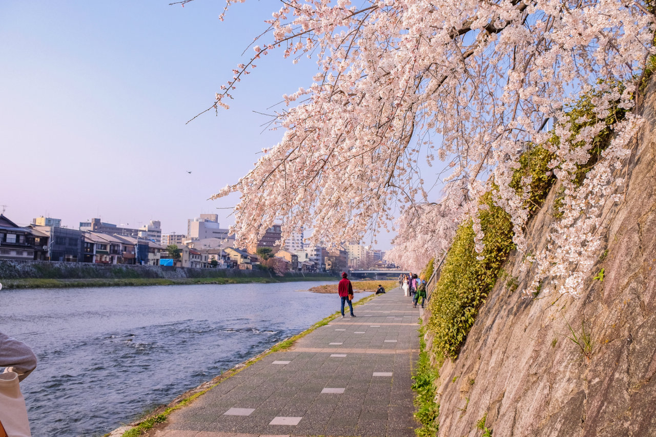 Promenade along the Kamo River