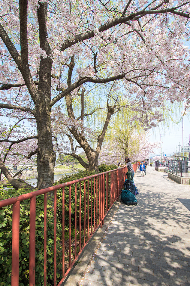 Kamogawadelta - Vacation Rentals “KyoTreat“