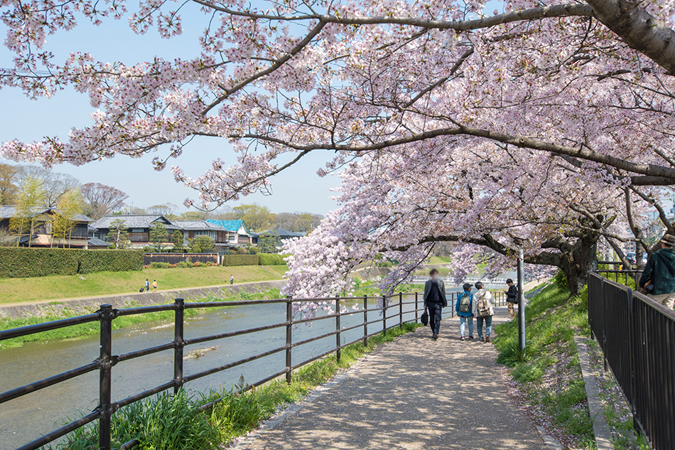 Kamogawadelta - Vacation Rentals “KyoTreat“