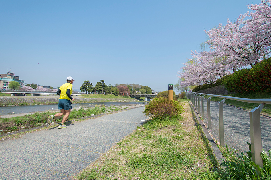 Kamogawadelta - Vacation Rentals “KyoTreat“