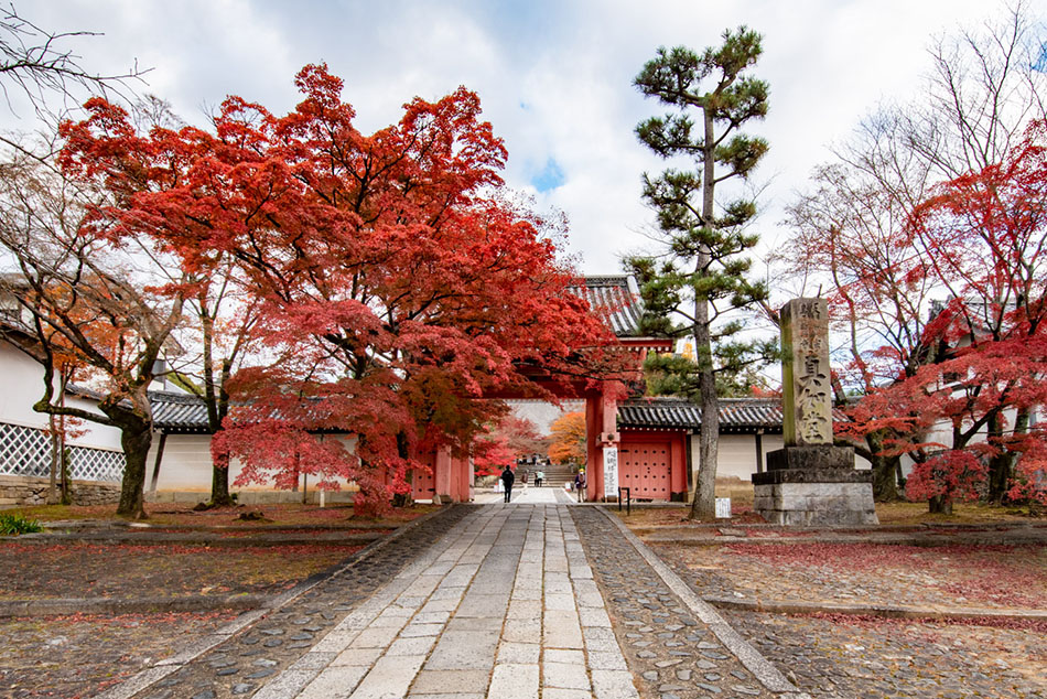 Shinnyodo Temple