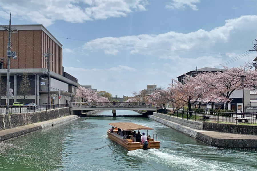Okazaki Cherry Blossom Boat Ride