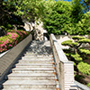 Outdoor stairs (to entrance)