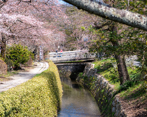 哲学の道の写真_浄土寺　灯縁 -hiyori-（京都市左京区浄土寺下南田町）