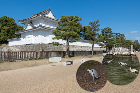 nijo castle