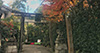 This shrine was built in 887 as part of offerings for the recovery of Emperor Uda who was sick at the time. In most cases, stone-made dogs are placed at the gates of this type of shrine as protectors; at this particular spot, however, sits a cute mouse statue instead of a dog. There are also figures of a monkey, a black kite (bird), and a fox. This shrine is also known for its famed camellia gardens. 