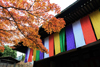 A temple of the Shingon Buddhism sect. The national treasure's main hall has been miraculously escaped from the war of the Onin-Civilization rebellion, and remains in its original state. 